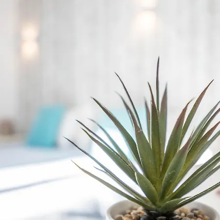 アパート Amarelo T1 オデセイシェ